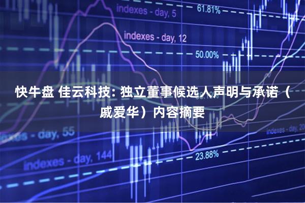 快牛盘 佳云科技: 独立董事候选人声明与承诺（戚爱华）内容摘要