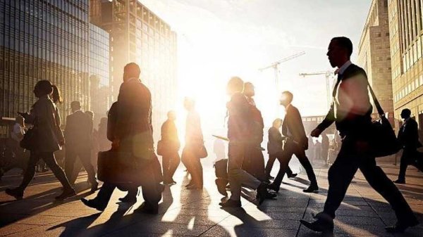 金多多策略 主力资金连续5日净流入66股