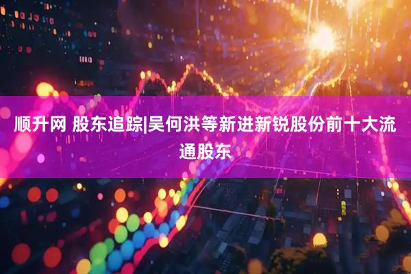 顺升网 股东追踪|吴何洪等新进新锐股份前十大流通股东